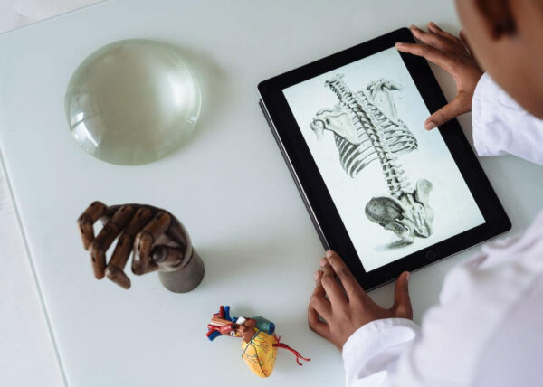 medicalevidence Person studying spine diagram on tablet with anatomical models and hand sculpture on table.
