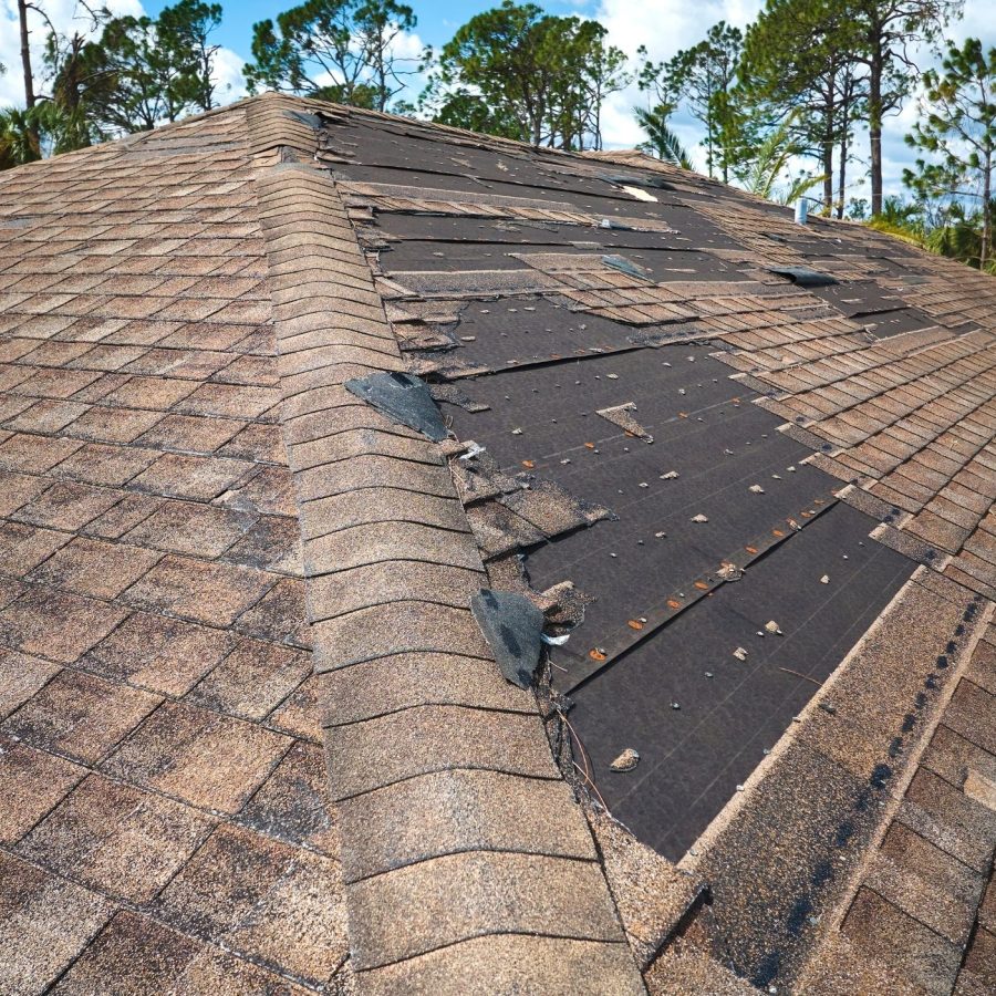 Damaged roof shingles in need of repair, highlighting weather-related wear and tear.